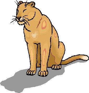 Lions clip art