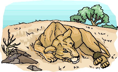 Lions clip art
