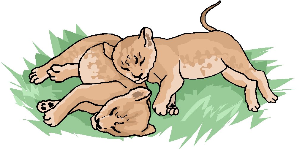 Lions clip art