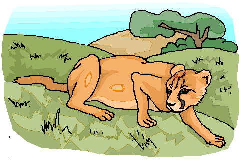 Lions clip art