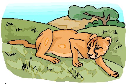 Lions clip art