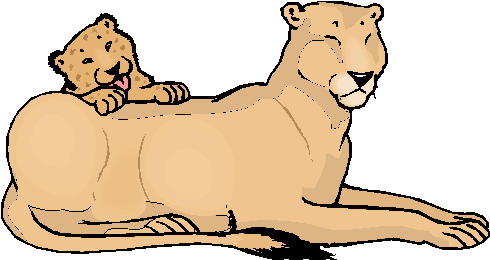 Lions clip art