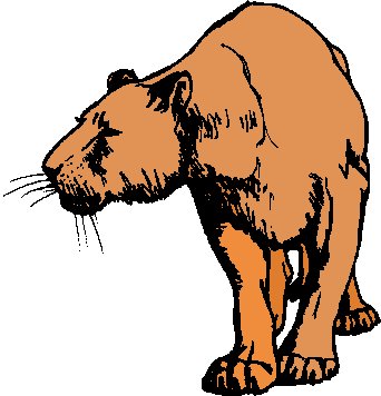 Lions clip art