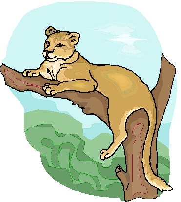 Lions clip art