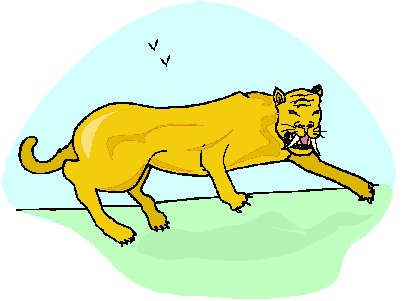 Lions clip art