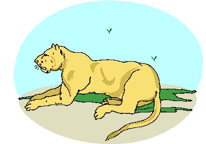 Lions clip art