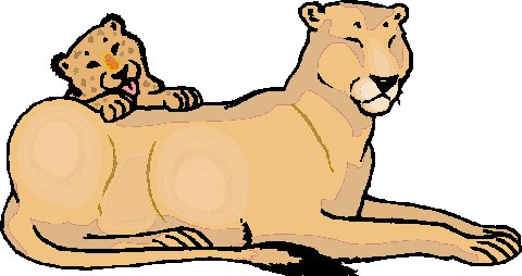 Lions clip art