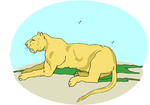 Lions clip art