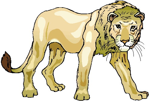 Lions clip art