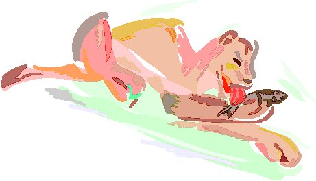 Lions clip art