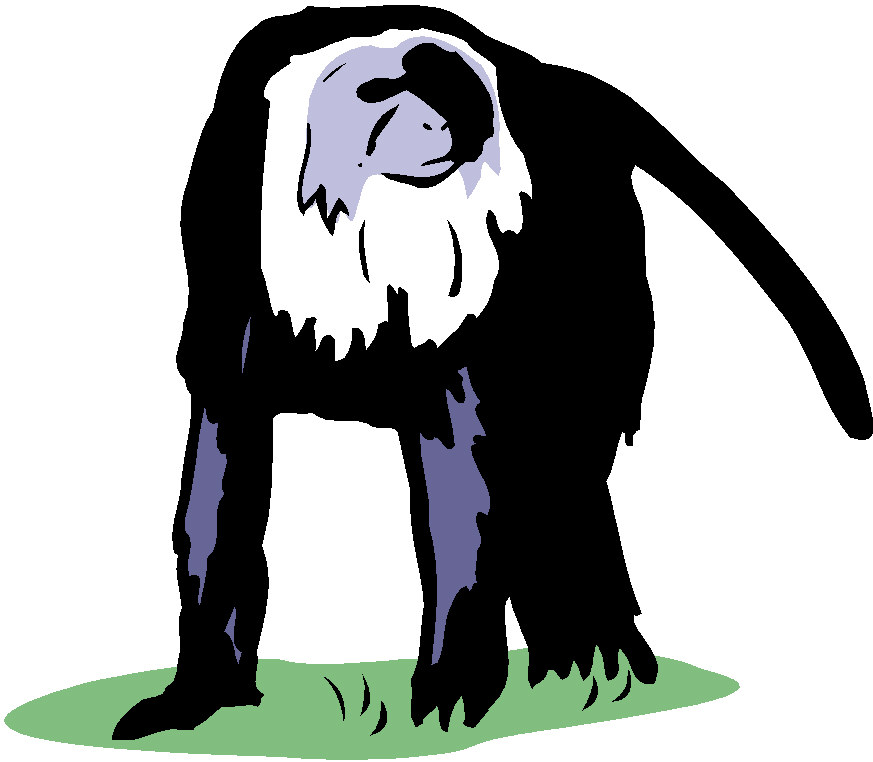 Monkeys clip art