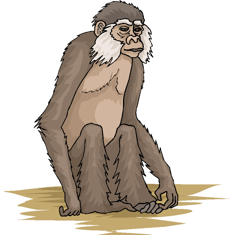 Monkeys clip art