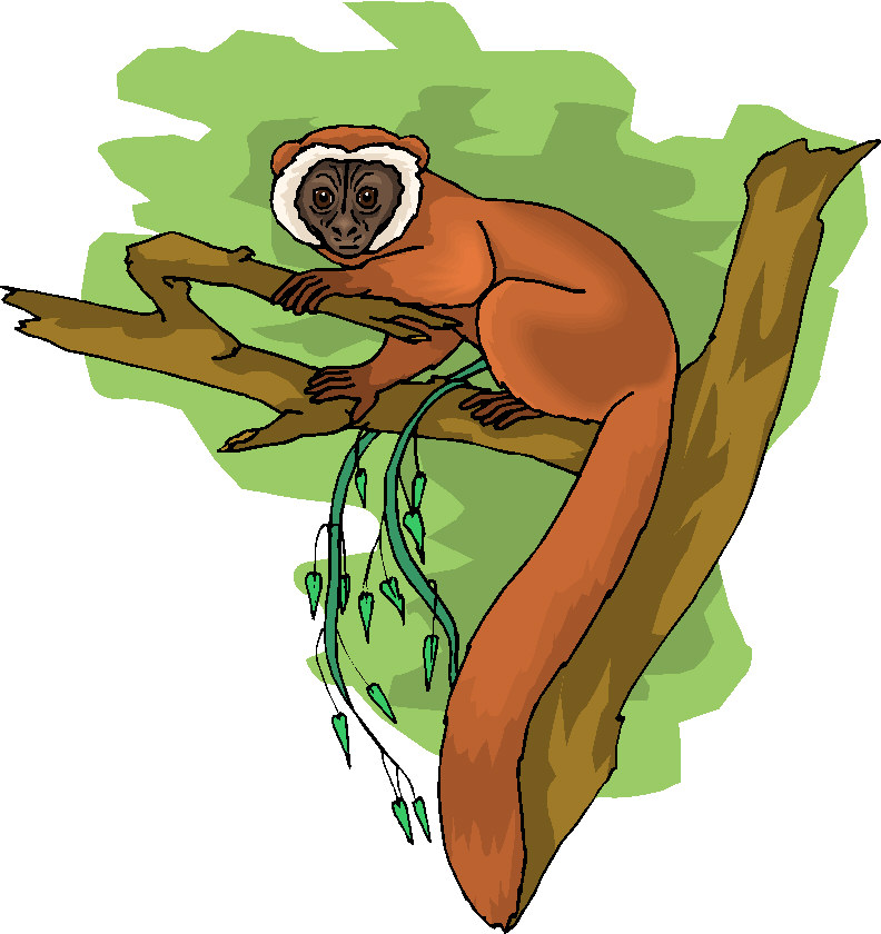 Monkeys clip art