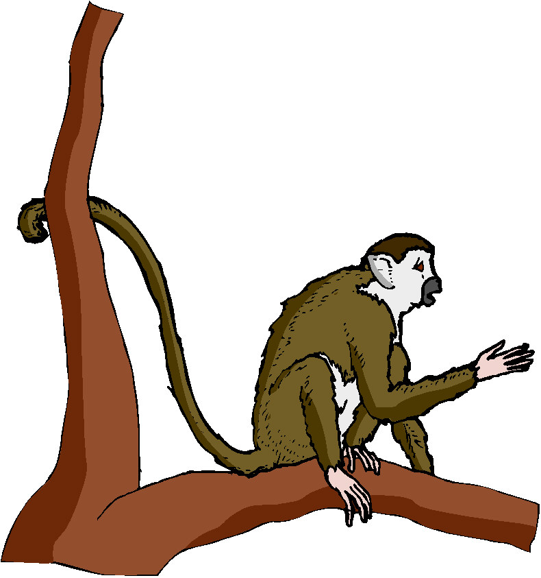 Monkeys clip art