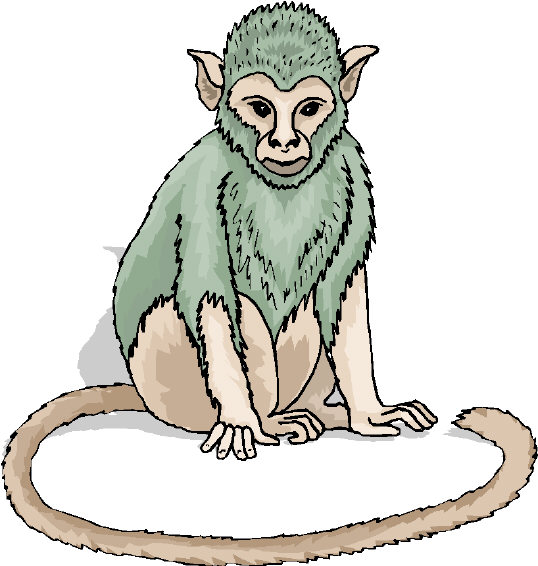 Monkeys clip art