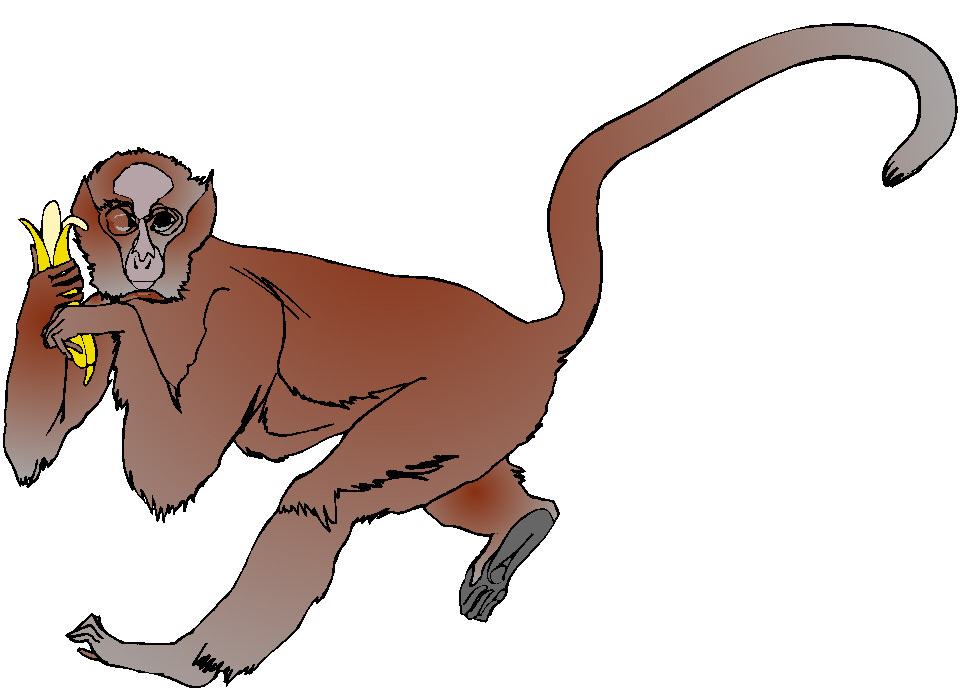 Monkeys clip art