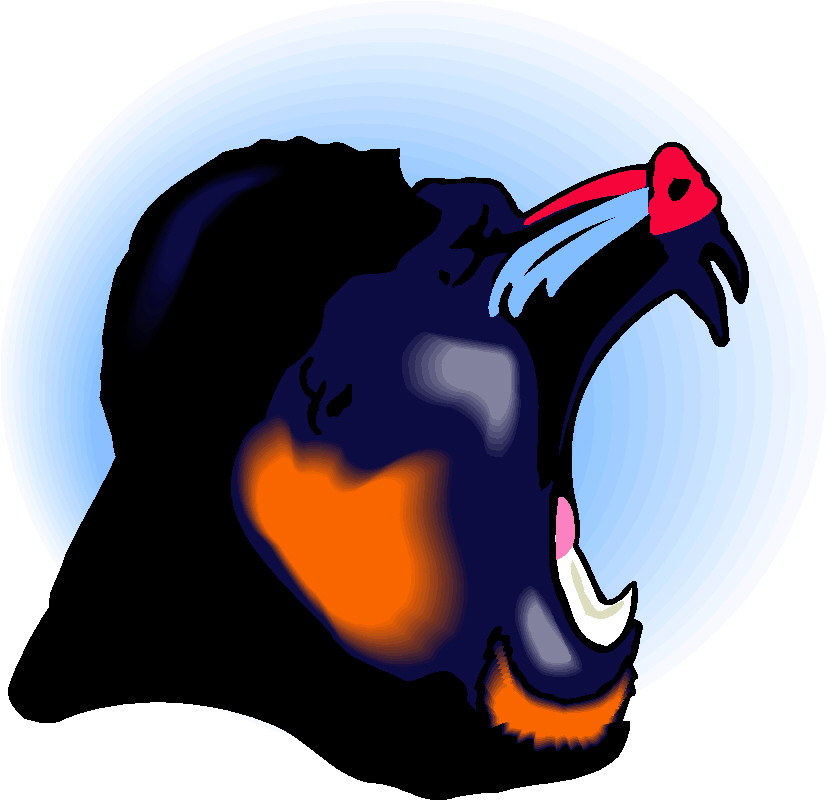 Monkeys clip art