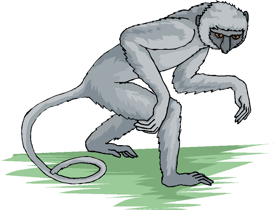 Monkeys clip art