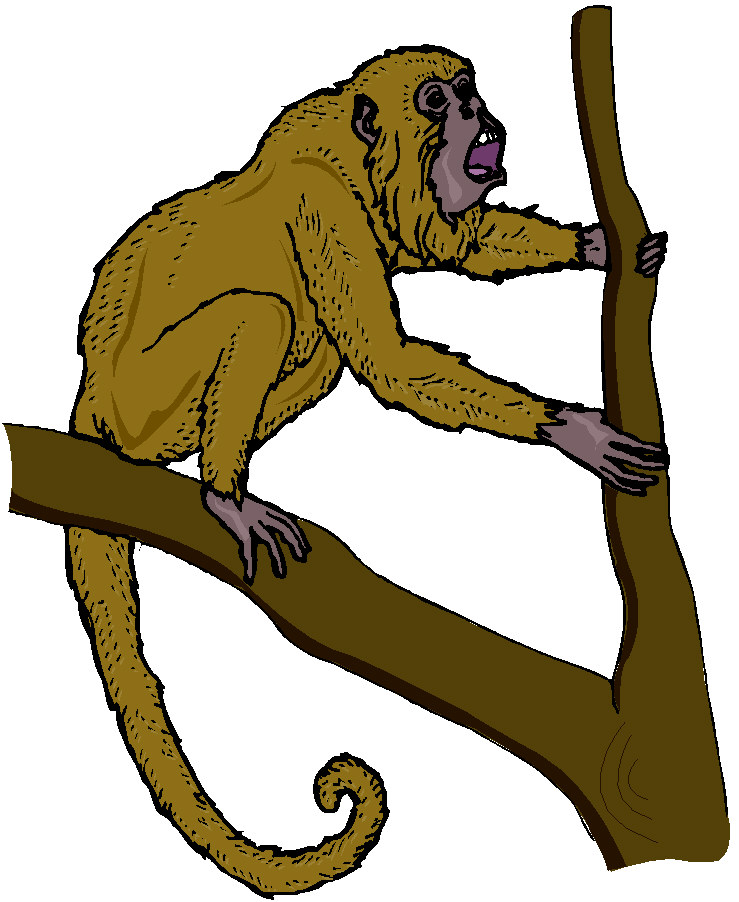 Monkeys clip art