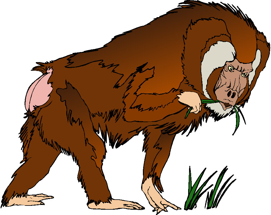 Monkeys clip art