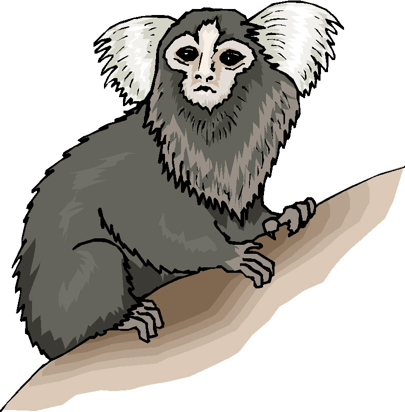 Monkeys clip art
