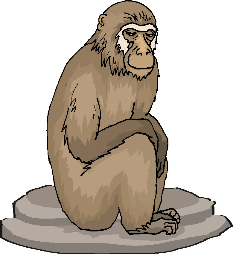 Monkeys clip art