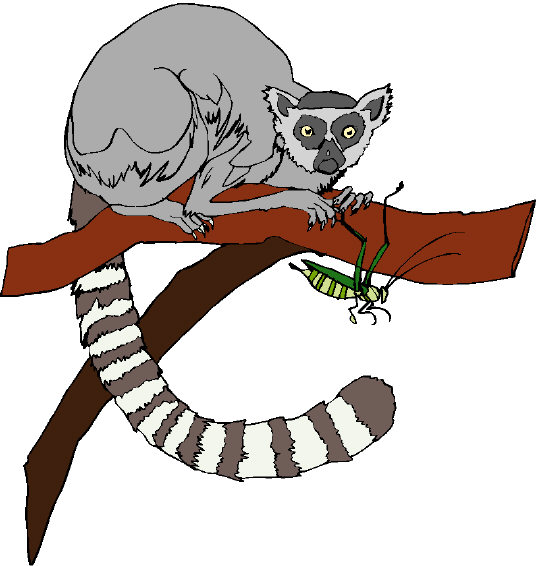 Monkeys clip art