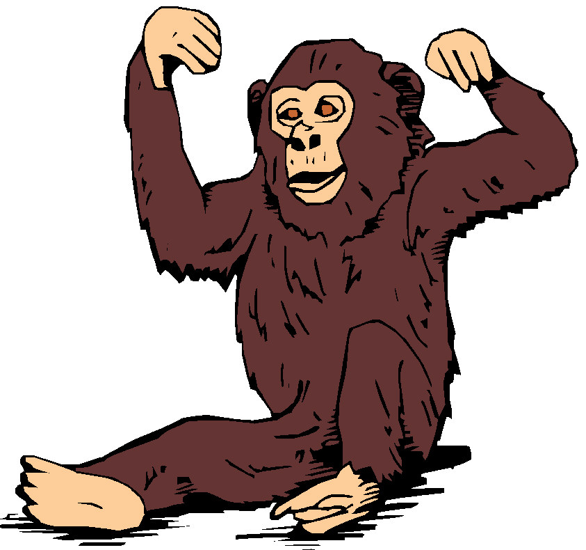Monkeys clip art