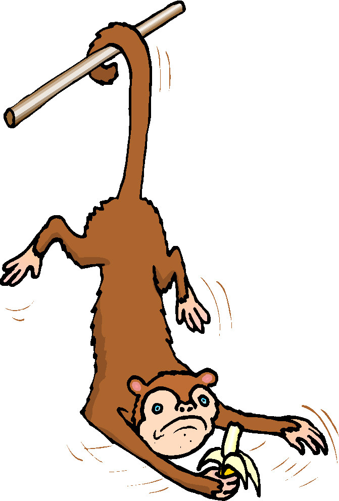 Monkeys clip art