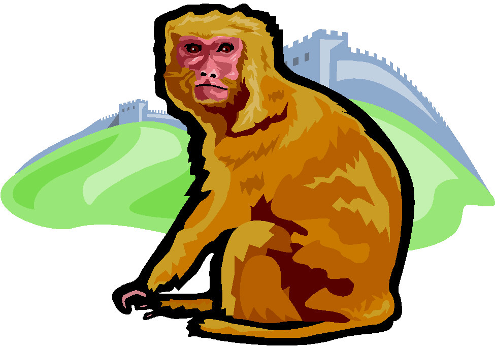 Monkeys clip art