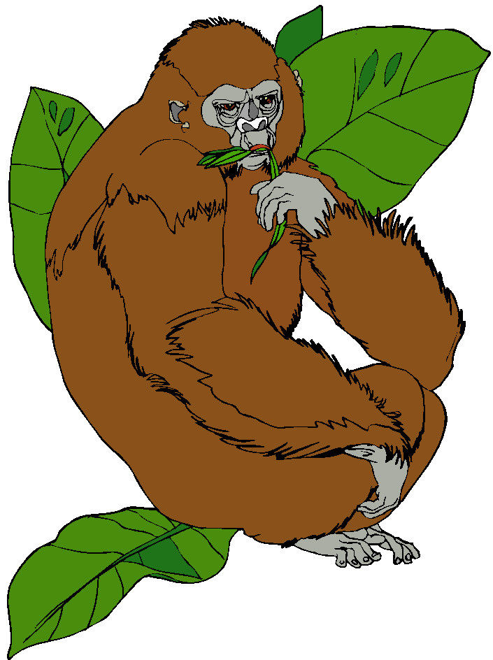 Monkeys clip art