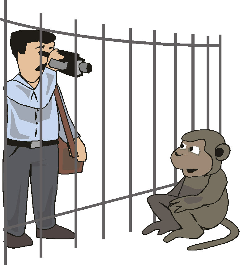 Monkeys clip art