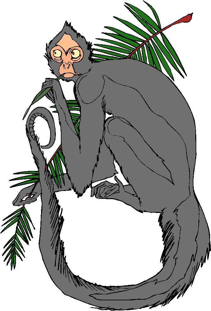 Monkeys clip art