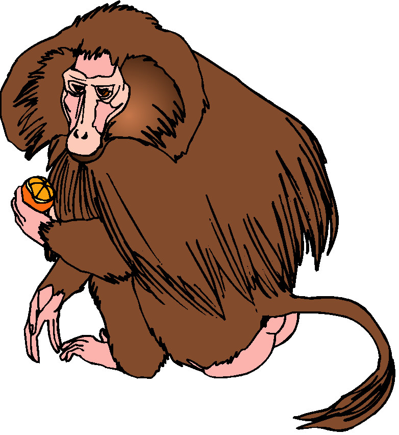 Monkeys clip art