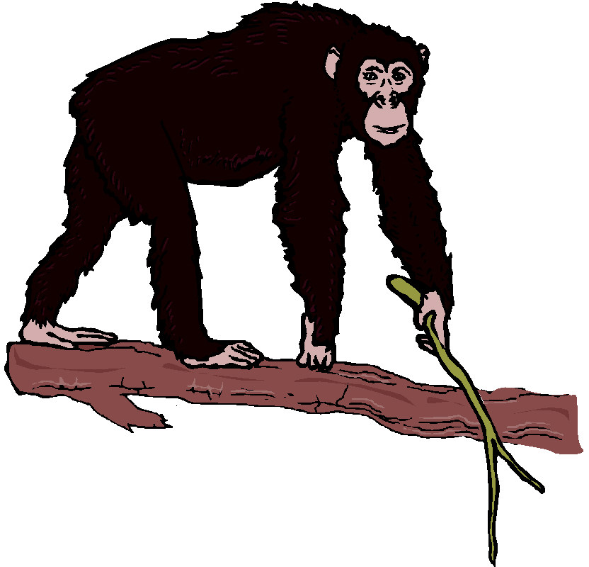 Monkeys clip art