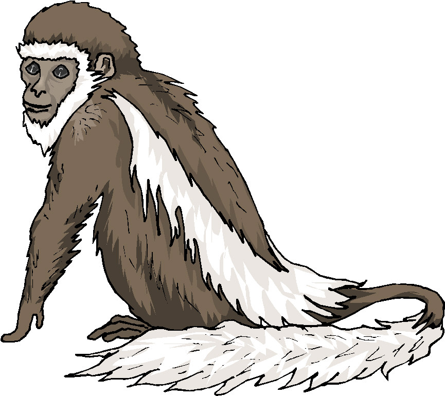 Monkeys clip art