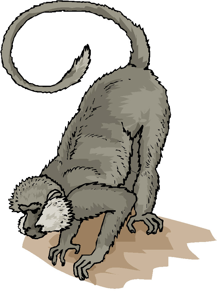 Monkeys clip art