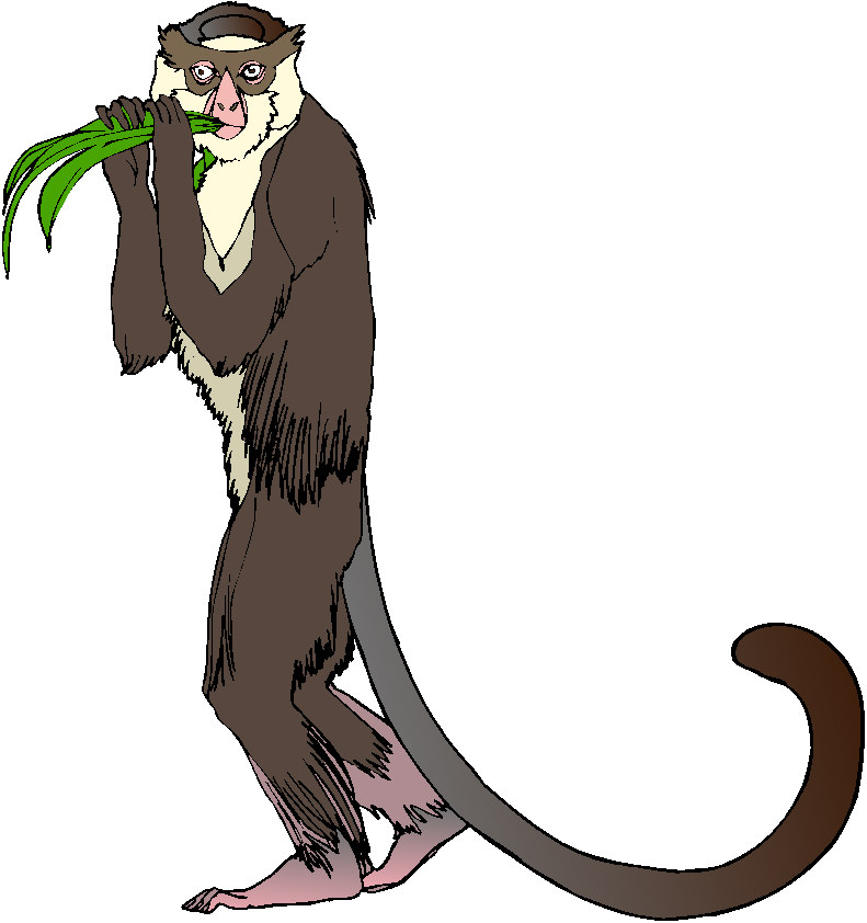 Monkeys clip art