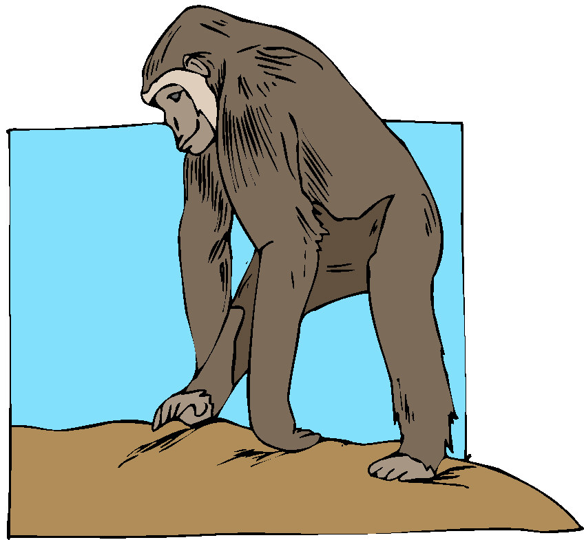 Monkeys clip art