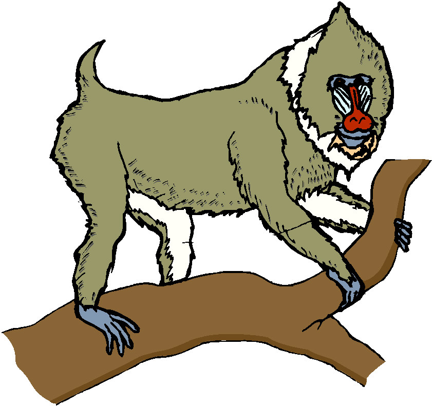 Monkeys clip art