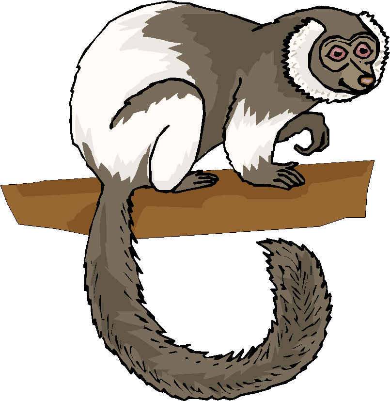 Monkeys clip art