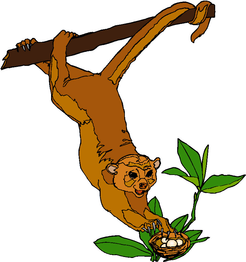 Monkeys clip art