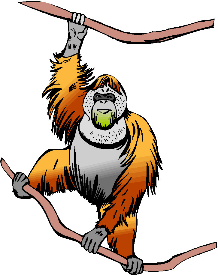 Monkeys clip art