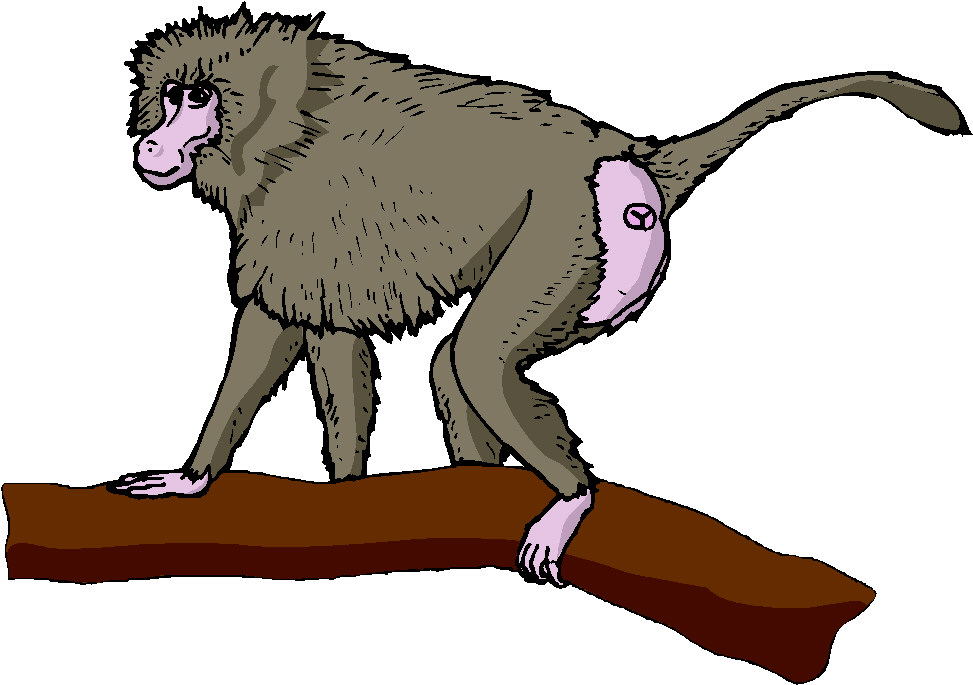 Monkeys clip art