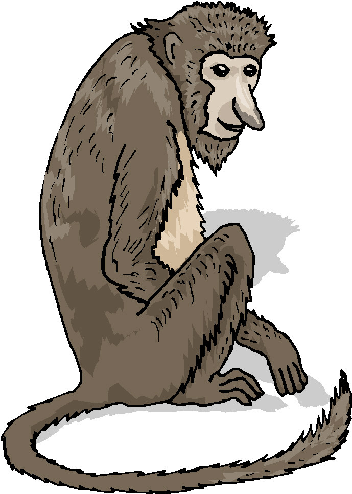 Monkeys clip art