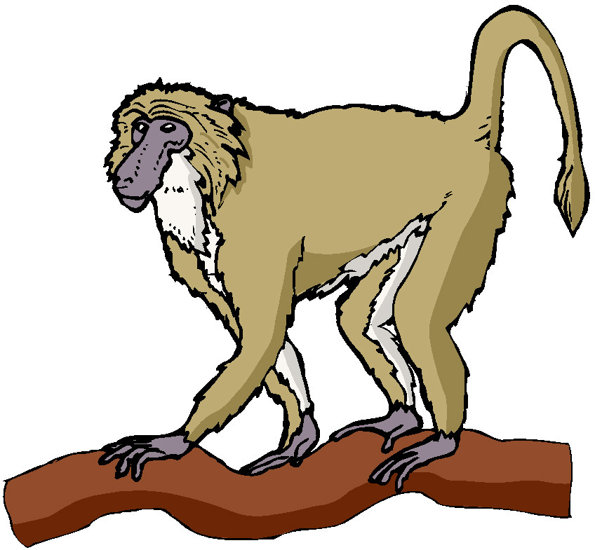 Monkeys clip art