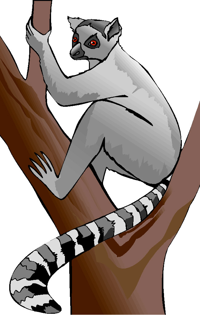 Monkeys clip art