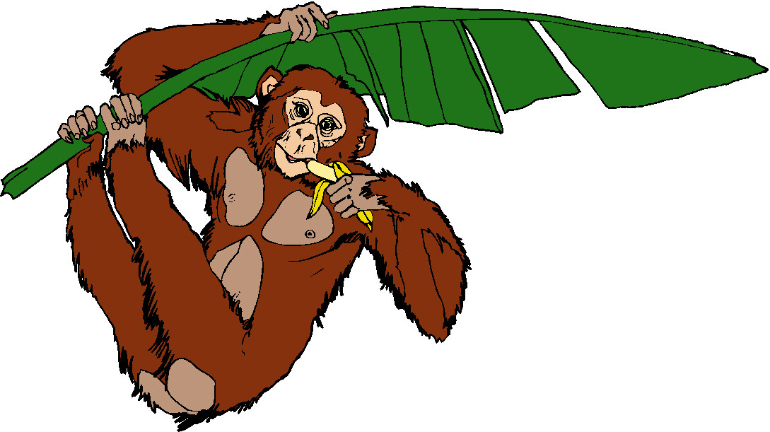 Monkeys clip art