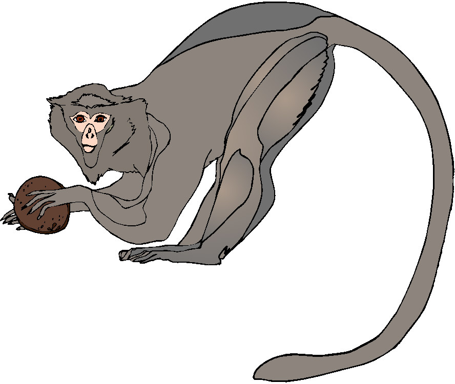 Monkeys clip art