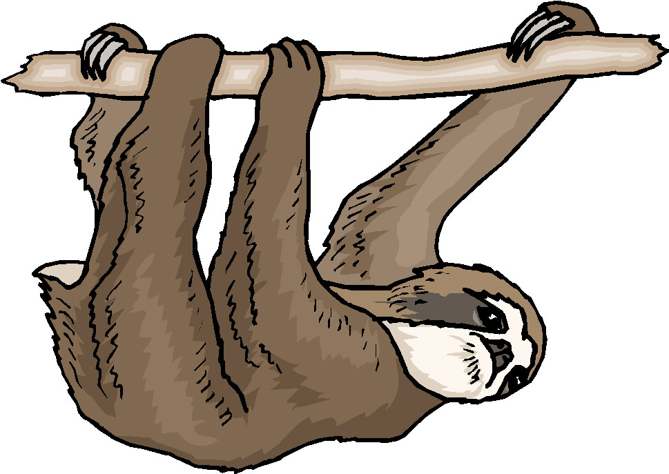 Monkeys clip art